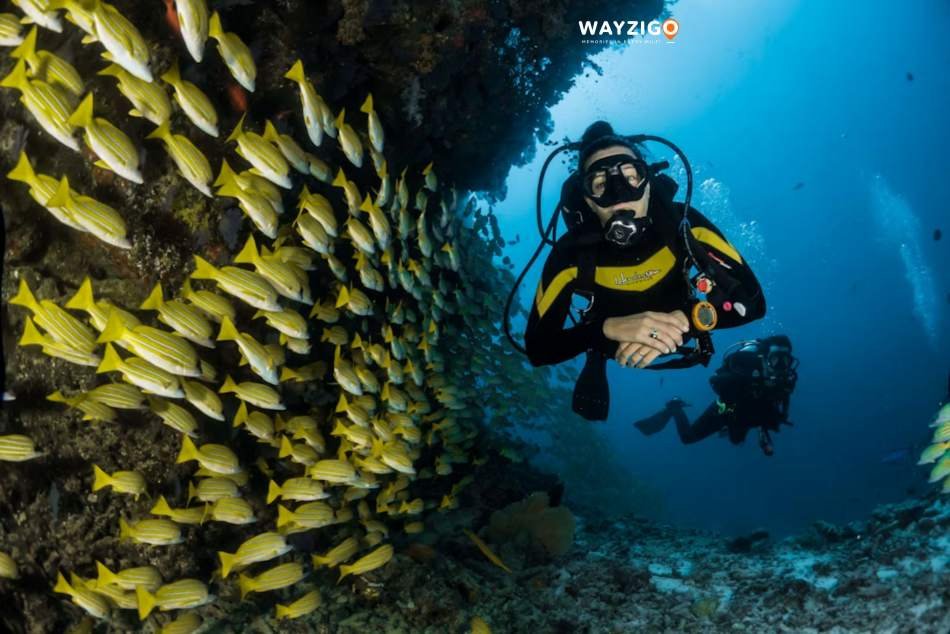 Andaman Indian islands