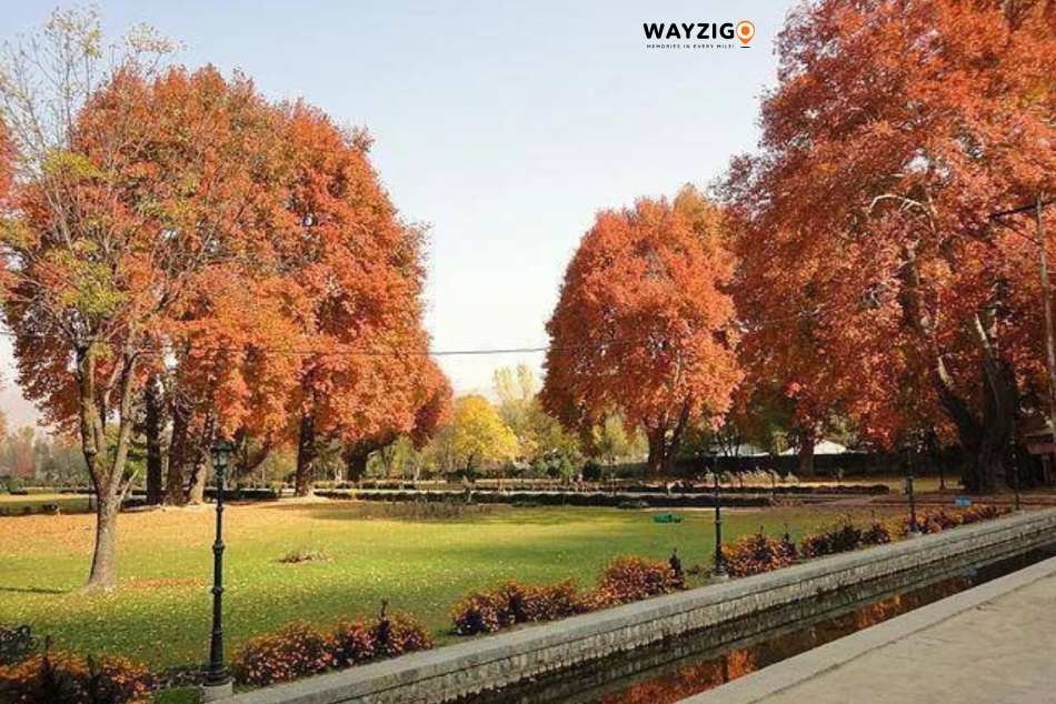 Autumn in Kashmir