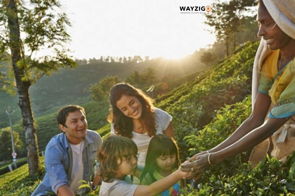Kerala family holiday