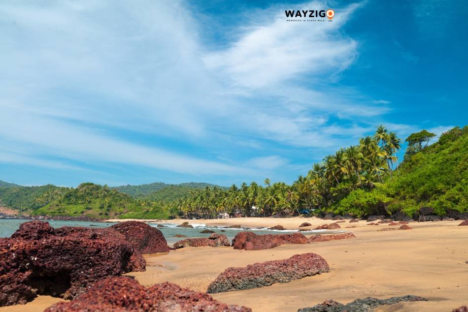 Goa river landscape