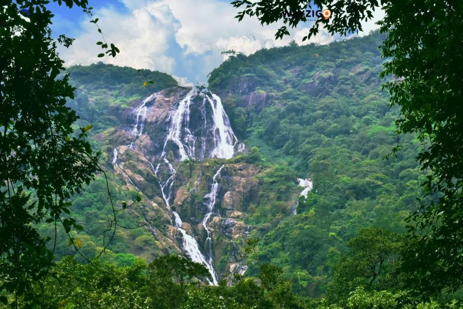 Goa green landscape