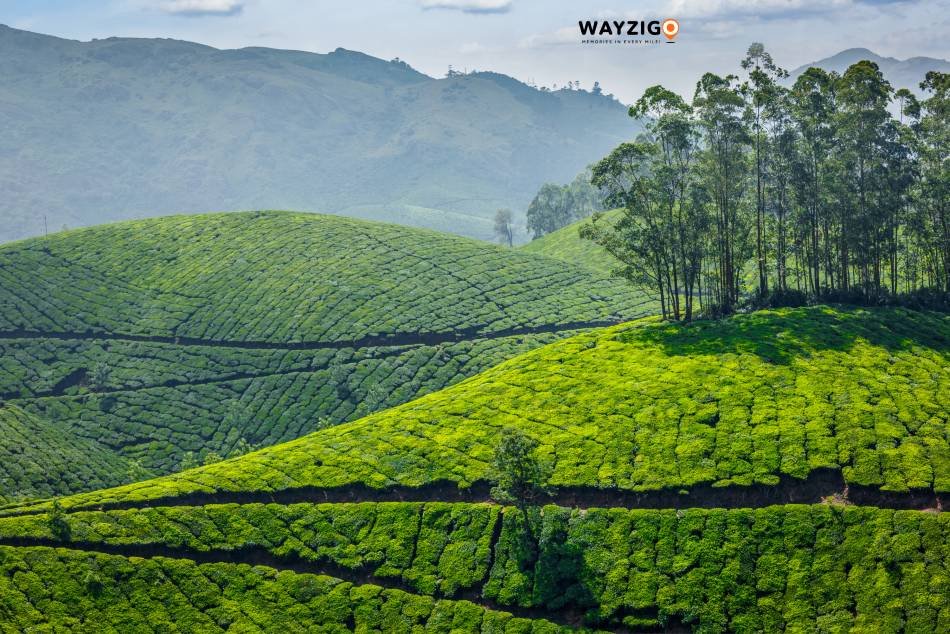 Munnar Kerala