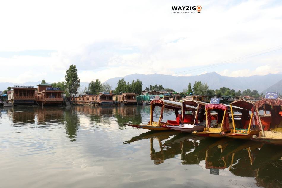 Shikara experience Kashmir