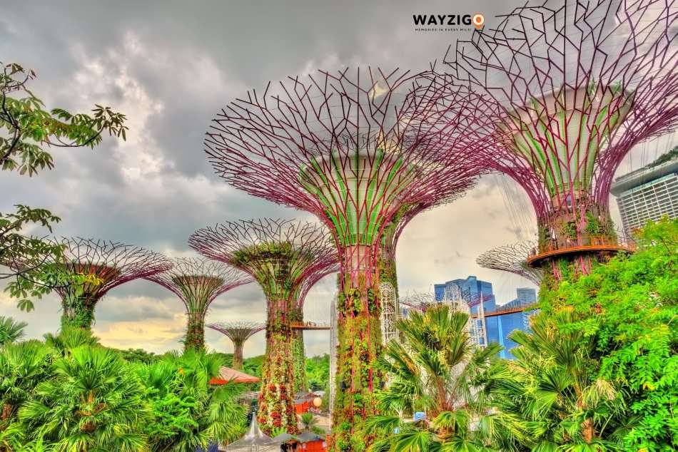 Singapore gardens