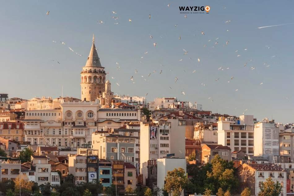 Turkey international tour