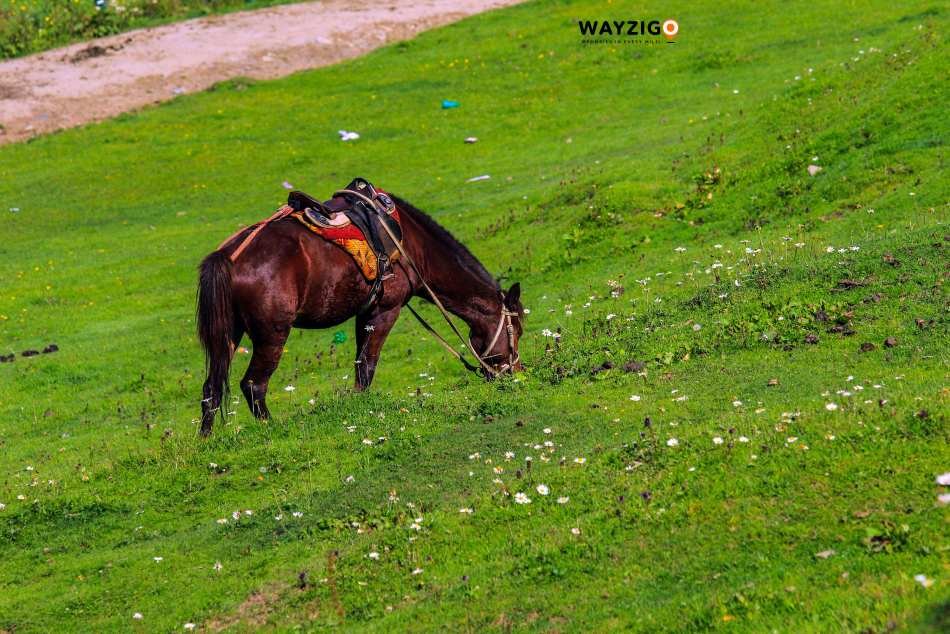 Yusmarg Kashmir