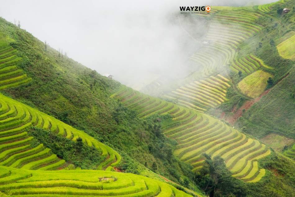 Vietnam countryside